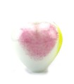 Glazen Memorie Urn Small Heart Opaque Pastel