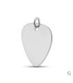 Zilveren Hanger Muziek Plectrum