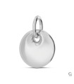 Zilveren Ashanger Rond en Bol