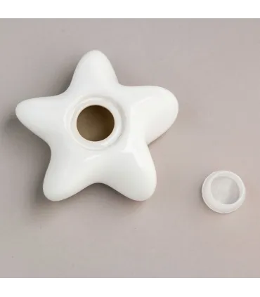 Keramische Keepsake Ster Urn Asteri Oudroze