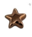 Keramische Keepsake Ster Urn Asteri Bronskleur Patroon
