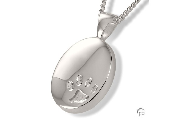 Assieraden & Symboliek